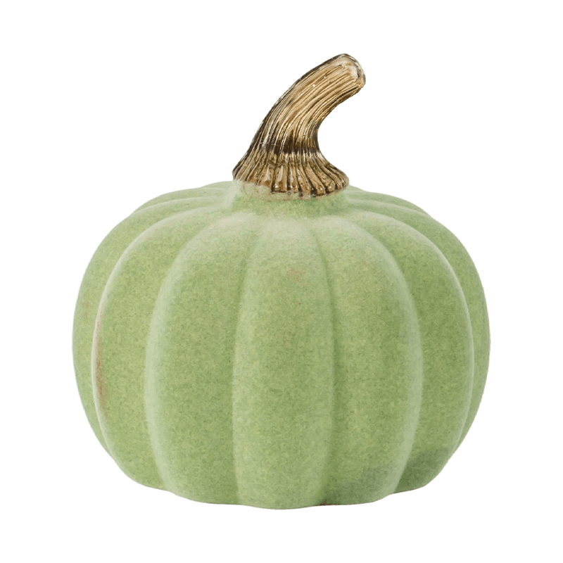 Fløjls-/flokket dekorativt græskar med glasstilk